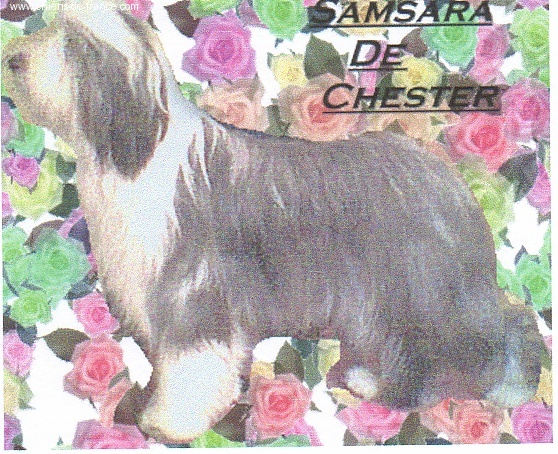 Samsara de Chester