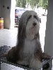 for to live - VIS TA VIE DE CHESTER (lola)