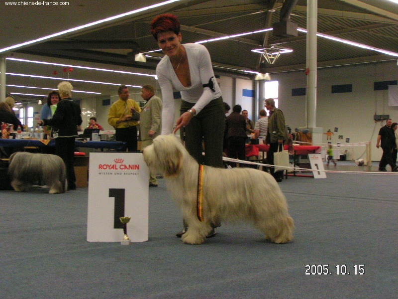 for to live - ALLEMAGNE Dortmund (lola)